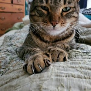 Meet your Posher, Anna